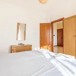 Alvanelli 3 *